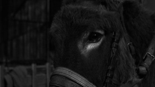 robert bresson,grâce,pickpocket,mouchette,gilles deleuze,image-temps,l'argent