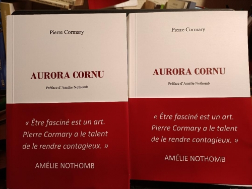 aurora cornu,éditions unicité,etienne ruhaud,françois mocaër,amélie nothomb,noémie halioua