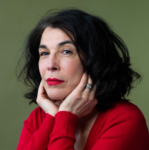 platon,monique dixsaut,michel ciment,impureté,pureté