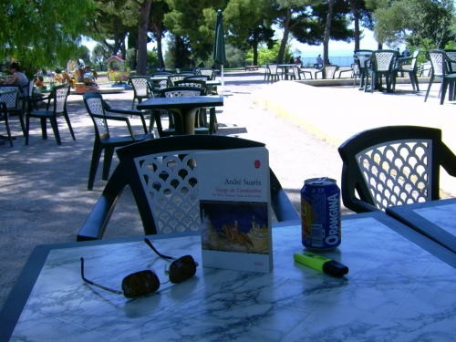 Nice, café de turin, place masséna,