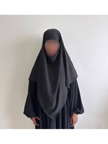 abnousse shalmani,khomeiny,islam,voile,sade,soutine,riz amer,la belle otero